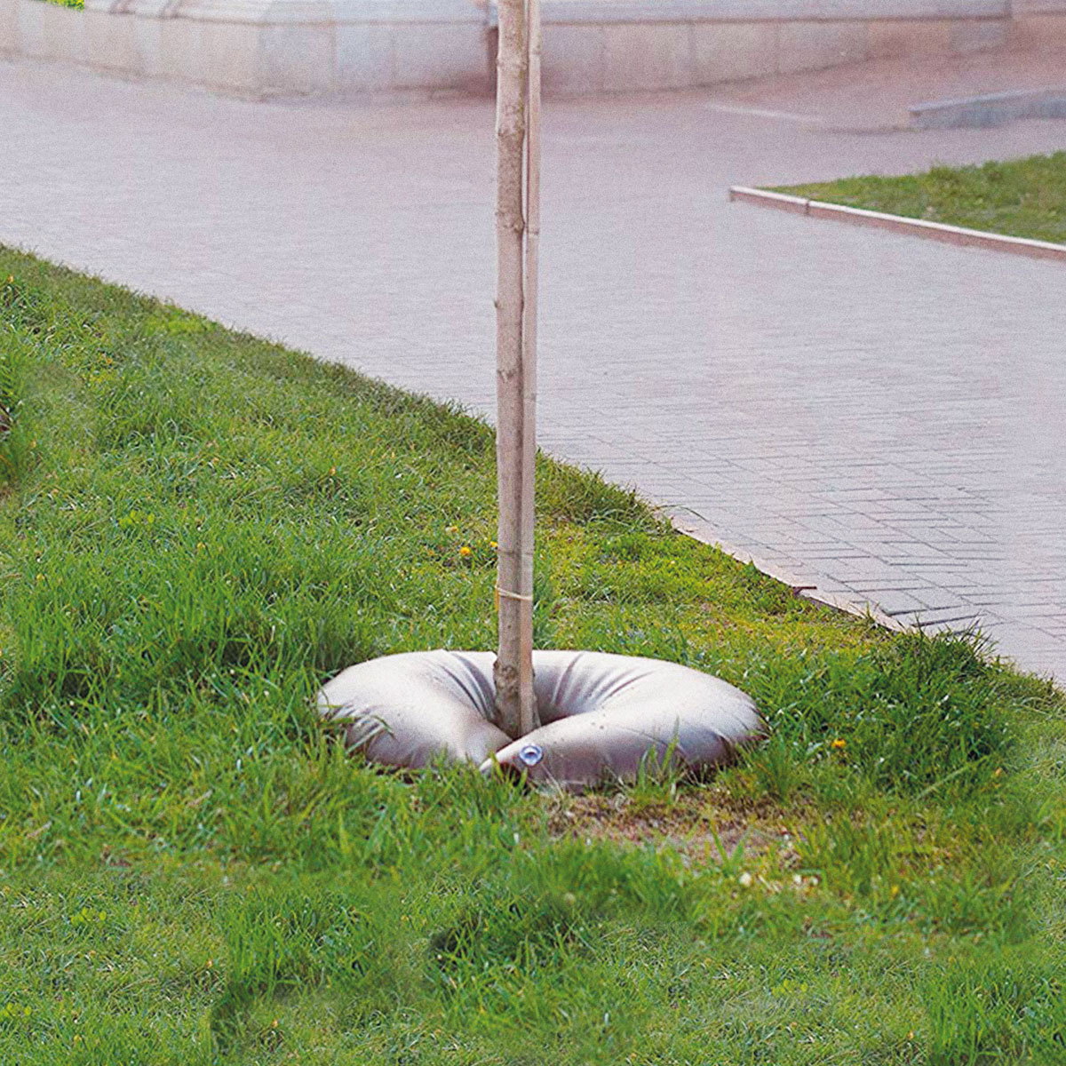 Vandingspose omkring stammen på ungt træ