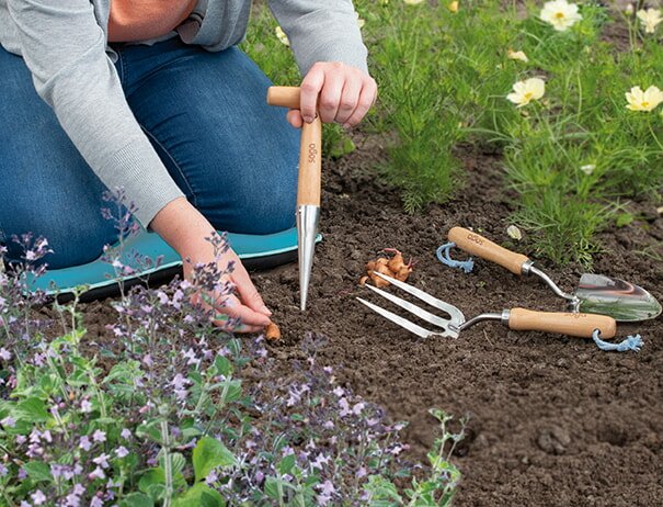 Person planter løg i bed med håndredskaber