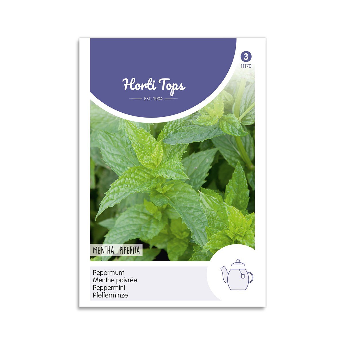 Pebermynte frø Mentha piperita Frøpose med pebermynte Mentha piperita