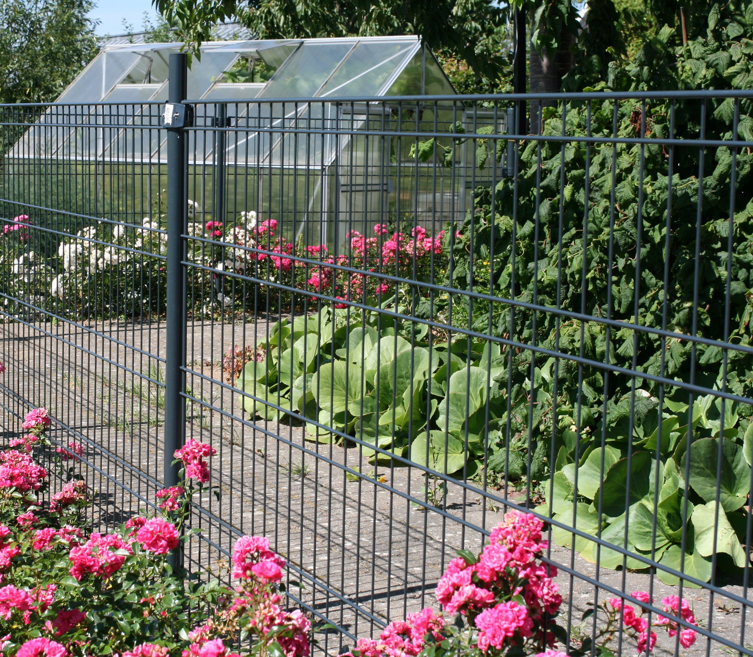 Havehegn i stål omkring blomsterbed Ståltrådshegn der indhegner blomster og drivhus