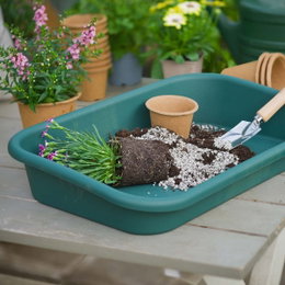 Havebakke til ompotning af planter Grøn havebakke med jord, perlite og plante