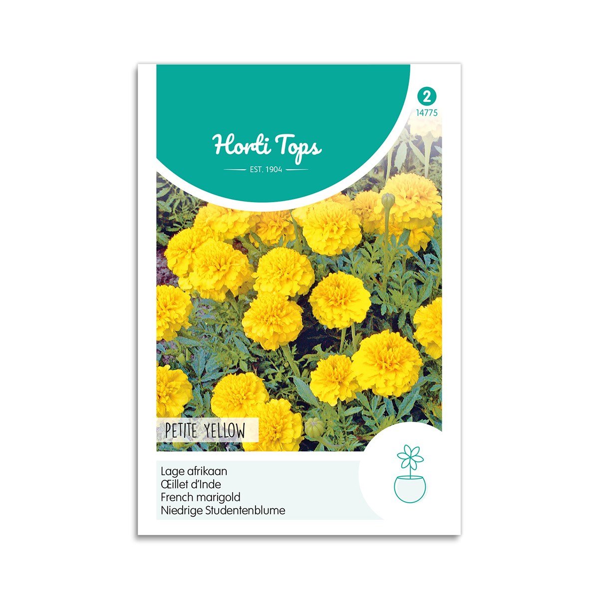 Tagetes frø "Petite Yellow"
