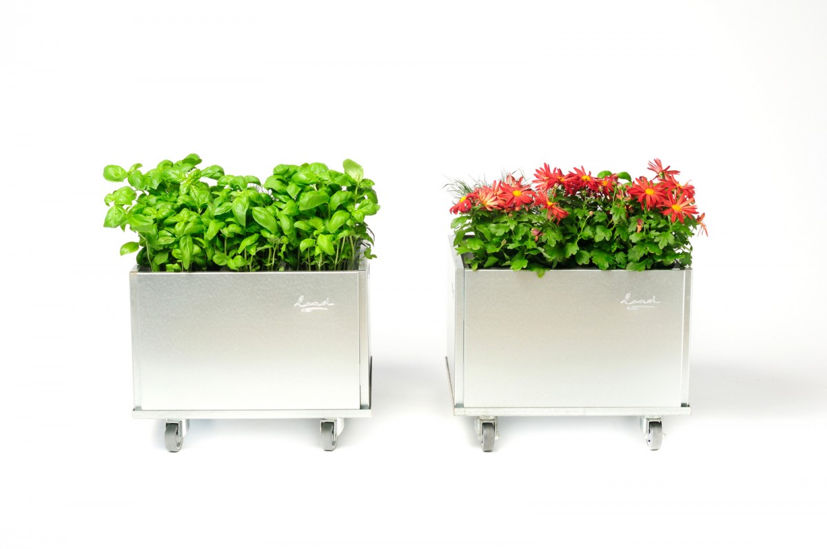 Sølvfarvede plantekasser på hjul med urter og blomster