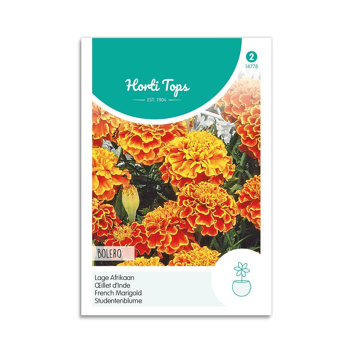 Tagetes frø "Bolero"