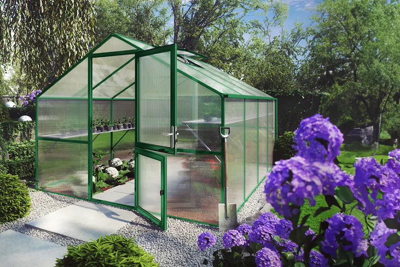 Grønt drivhus med aluminiumramme og plastpaneler, dobbelt dør og hylder til planter i have Grønt drivhus med aluminiumramme og klare plastpaneler i en have, åben dør med låge, hylder med potteplanter og en skovl ved siden af; lilla blomster i forgrunden