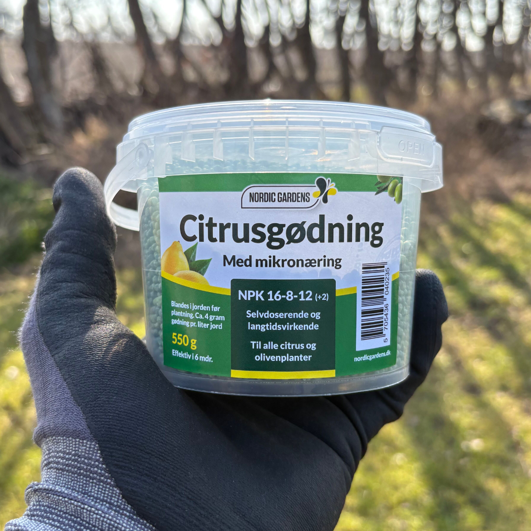 Billede af 550 g bøtte Nordic Gardens Osmocote citrusgødning (NPK 16-8-12) med grønt label; langtidsvirkende, selvdoserende gødning til alle citrus- og olivenplanter