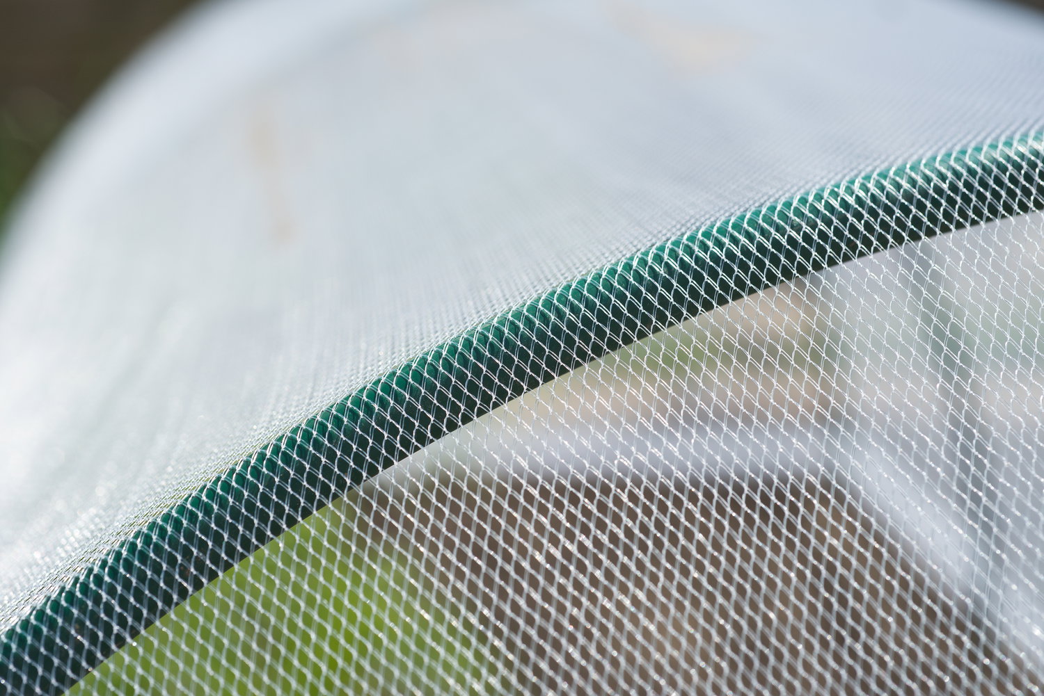Close-up af Nature insektnet i 2 meters bredde monteret over buer, fint hvidt net der beskytter planter mod insekter uden kemikalier, let og luftigt net der tillader lys og vand at passere