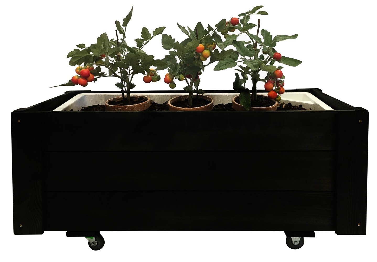 Mobil sort plantekasse med tre tomatplanter