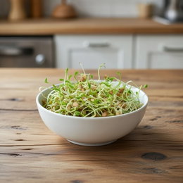 Skål med friske økologiske linsespirer dyrket fra Buzzy spirefrø (30 g), sprøde grønne spirer klar til brug i salater, wok og sandwich