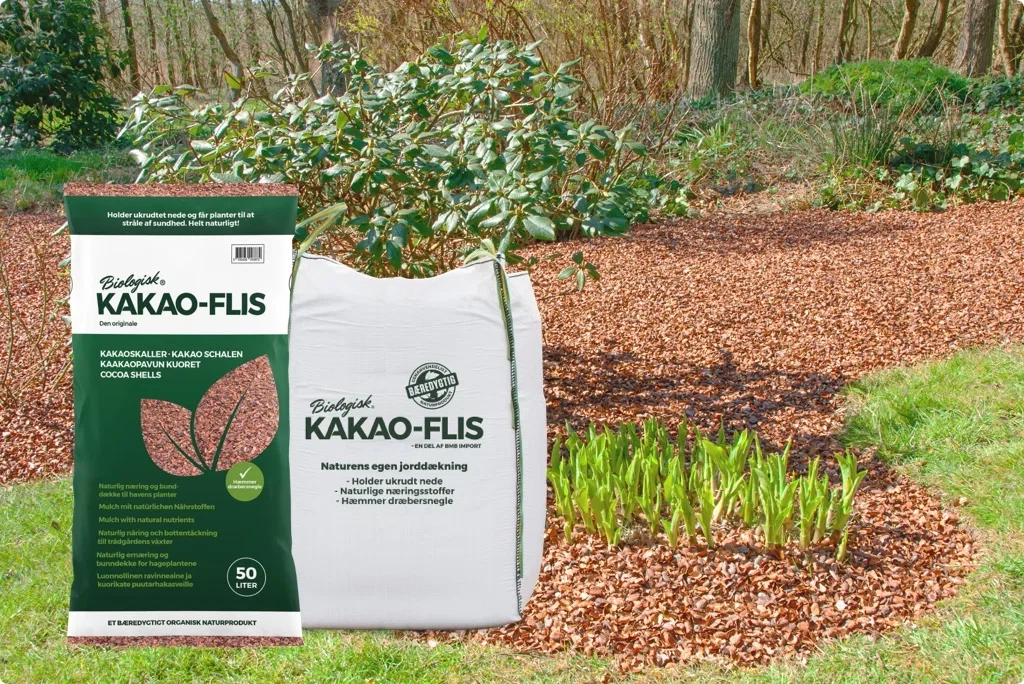Kakao-flis-image21.jpg