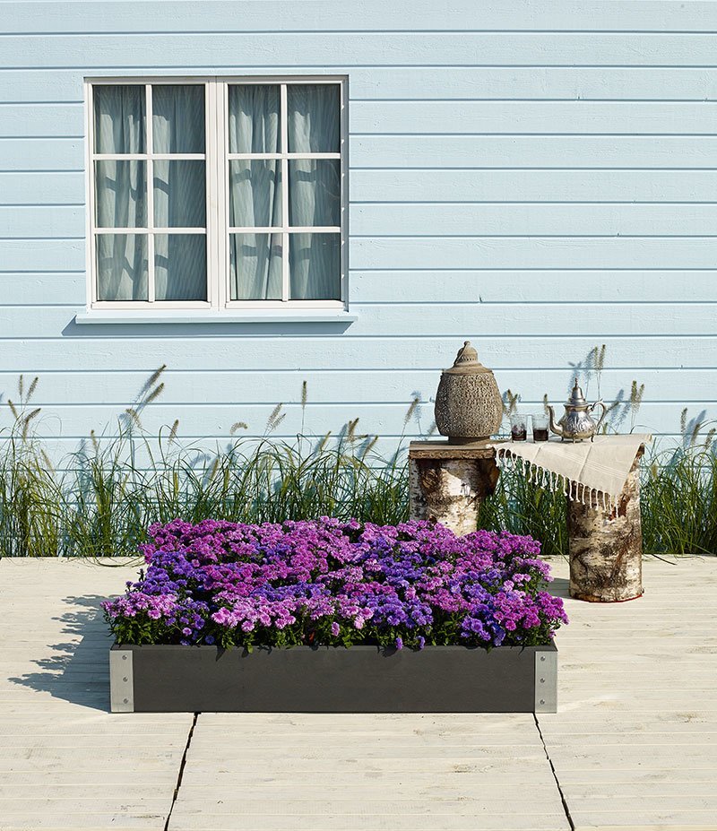 Rektangulært højbed med lilla blomster ved terrasse