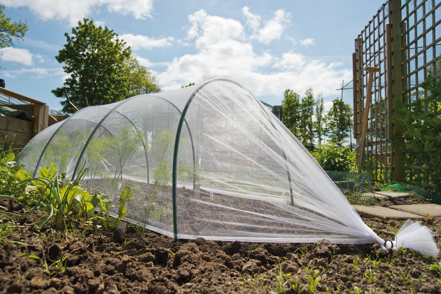Insektnet i 2 meters bredde monteret over bed på buer, let hvidt net fra Nature som tillader lys og vand og beskytter afgrøder mod insekter, leveres fra rulle og skæres pr. løbende meter