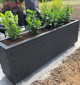 Lang rektangulær plantekasse i mørkegrå Mørkegrå plantekasse på terrasse med grønne planter