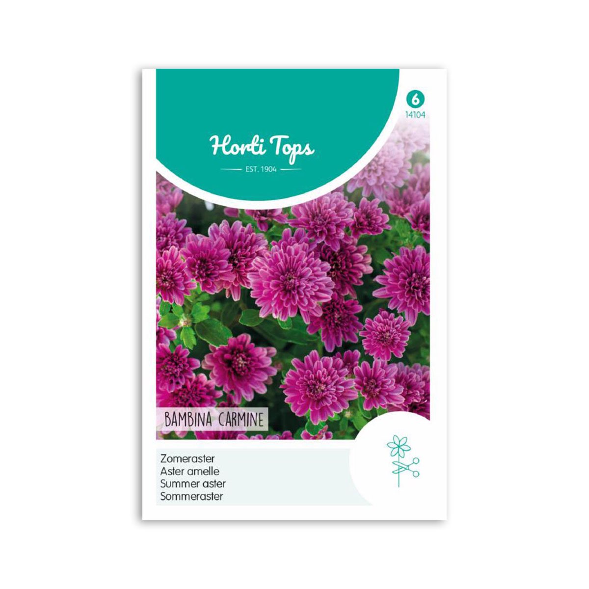Sommer Asters frø "Bambina Carmine"