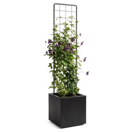 Sort plantekasse m/ espalier - 40 x 40 x 40 cm
