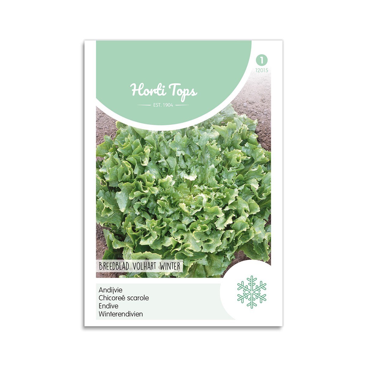 Endivefrø Horti Tops Volhart Winter Frøpose med Volhart Winter endive fra Horti Tops
