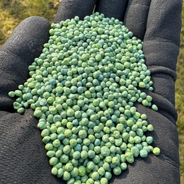 Hånd med sorte handsker holder grønne Osmocote gødningsperler, 550 g pakning med NPK 16-8-12 og mikronæringsstoffer fra Nordic Gardens til potte- og haveplanter, næring i op til 6 måneder