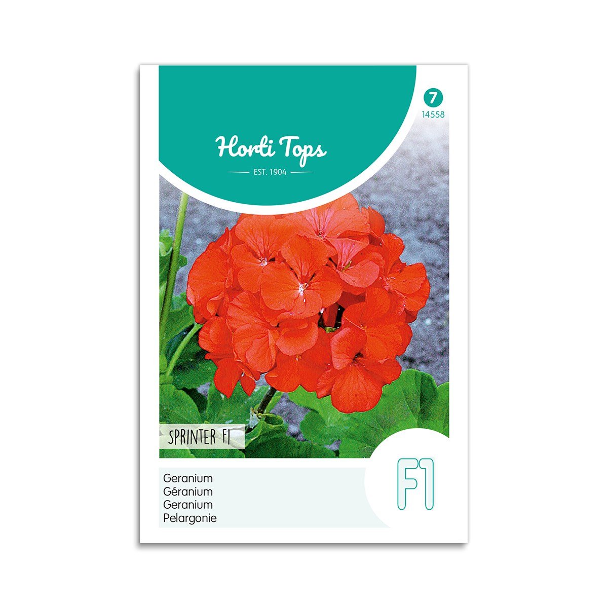 Pelargonie frø "Sprinter F1"