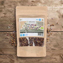 Økologisk spicy salatmix spirer frø - 250 g Økologisk spicy salatmix spirer frø - 250 g