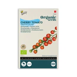Økologisk tomatfrø Gardener's Delight - Buzzy Organic cherrytomatfrø Frøpakke med økologiske Gardener's Delight cherrytomatfrø fra Buzzy Organic, viser røde kirsebærtomater på klase; ideel til solrigt voksested, kræver jævn vanding og opbinding
