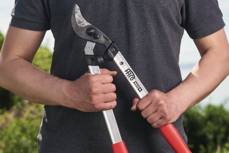 Grensaks med røde håndtag holdt af person i grå t-shirt Tæt billede af en person i grå t-shirt, der holder en stor grensaks (beskæringssaks) med røde håndtag foran kroppen i en have