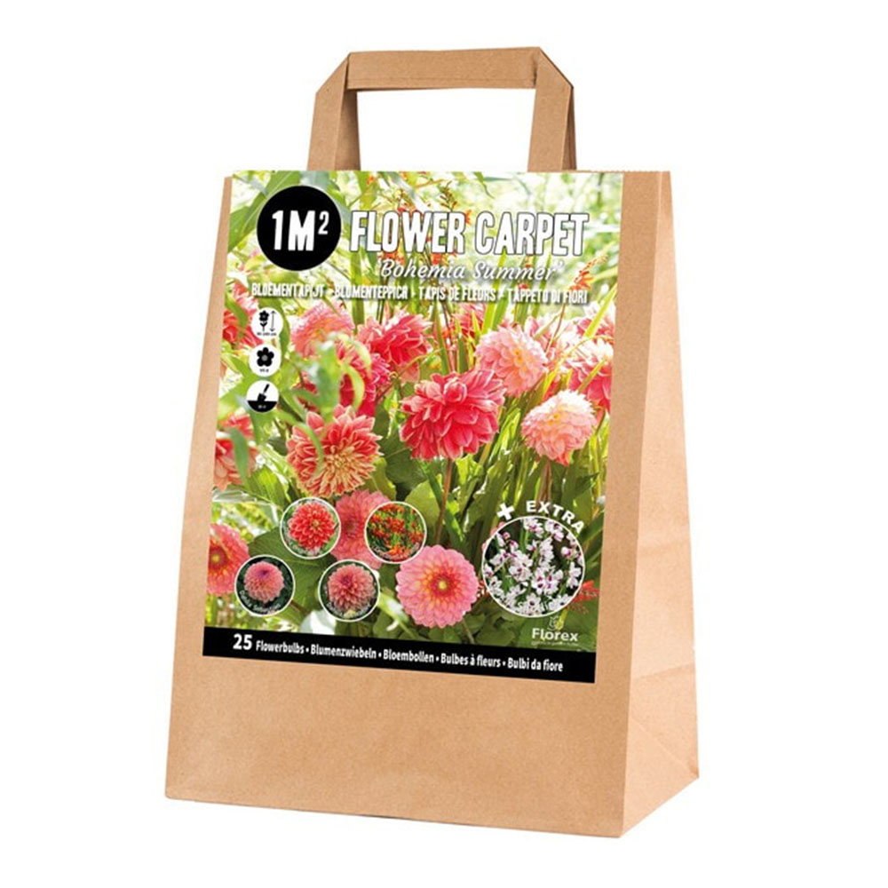 Papirpose med 1m² Flower Carpet Bohemia Summer blomsterløg