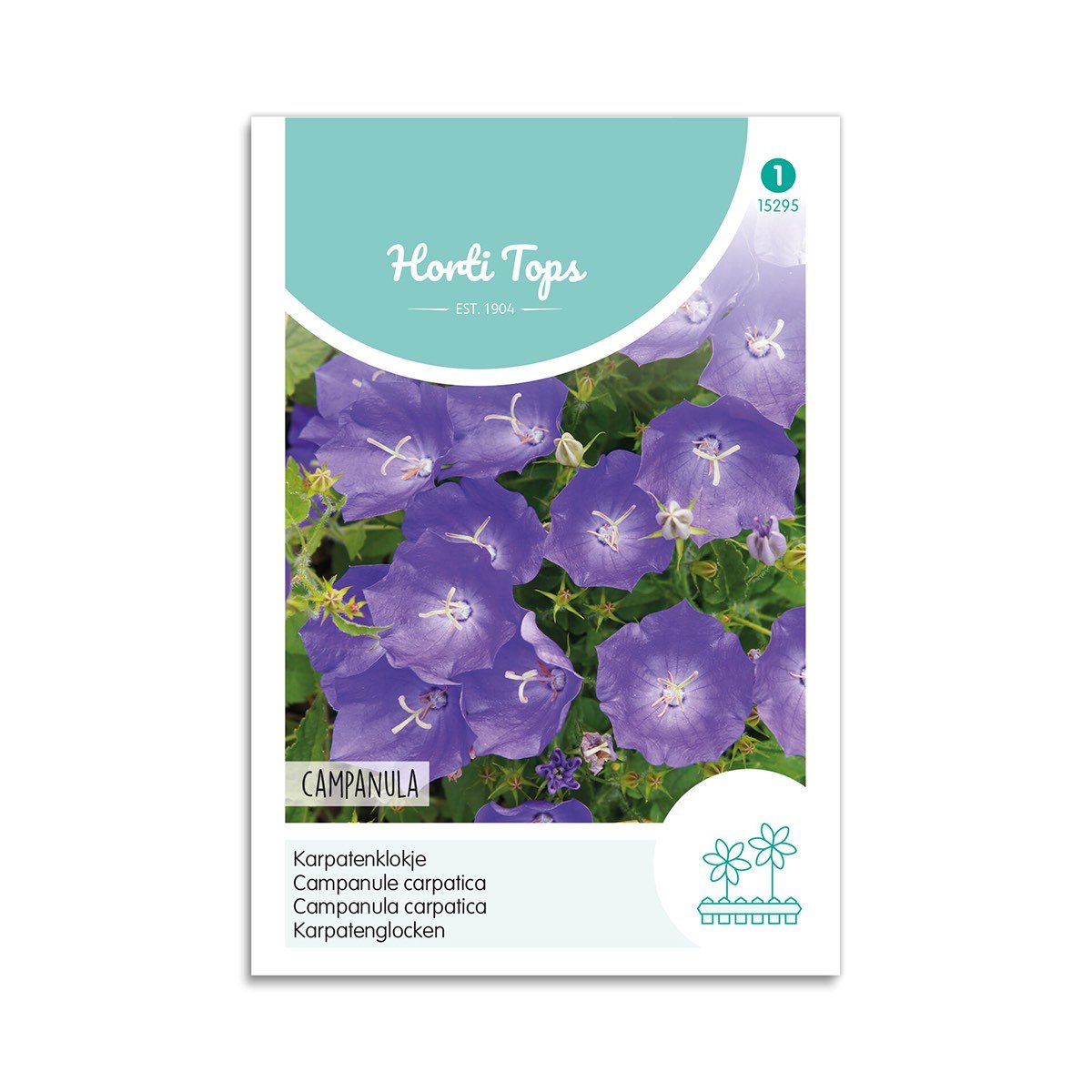 Karpaterklokke frø "Campanula"