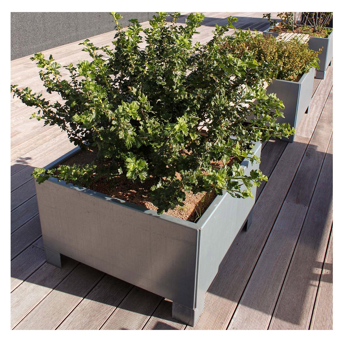 Land Modern  Kvadratisk plantekasse med ben i galvaniseret stål - 80 x 80 cm