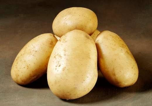 Friske danske kartofler Fem friske kartofler på bord