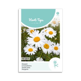 Margerit frø May Queen – Horti Tops Frøpose med May Queen margerit blomster