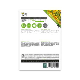 Frøpose med franske morgenfruer, Buzzy Seeds Bagside af Buzzy Seeds franske morgenfruefrø