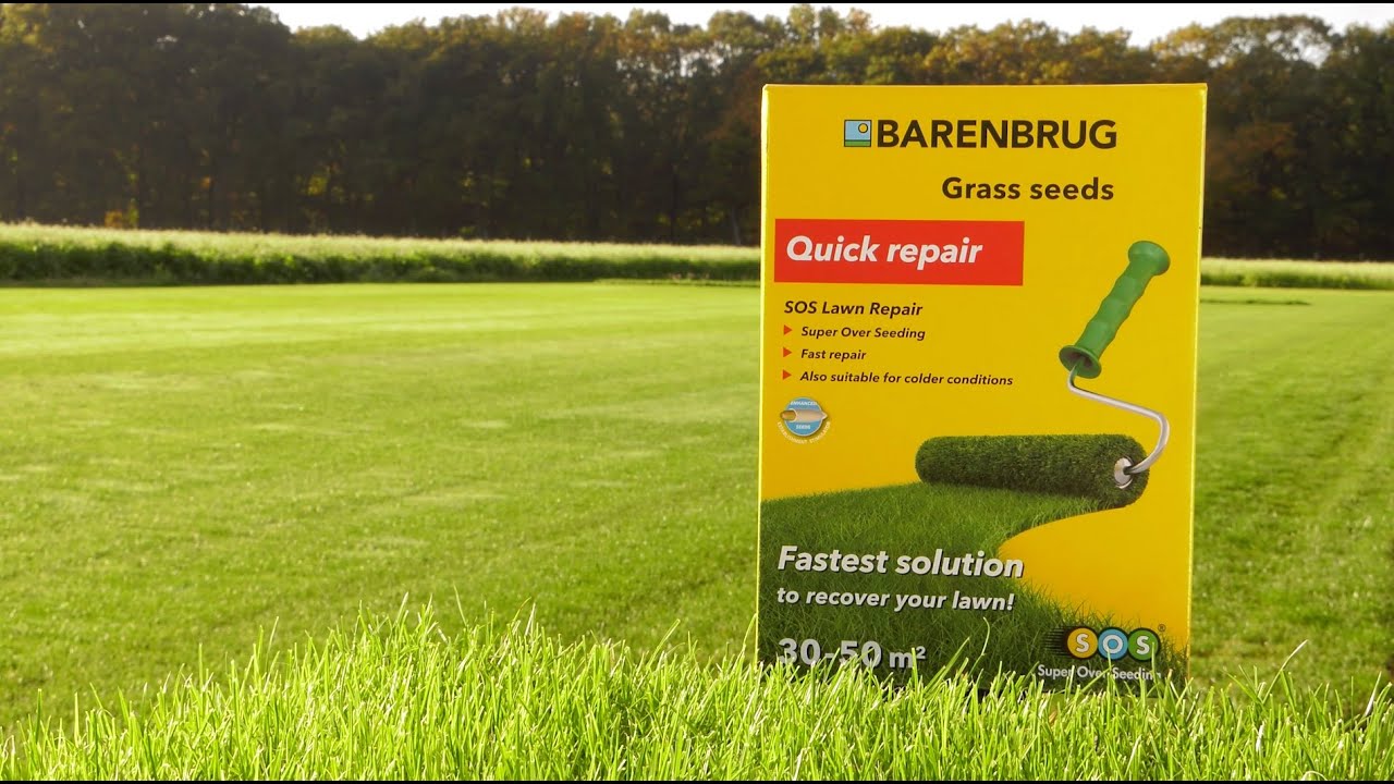 Barenbrug SOS Lawn Repair græsfrø 1 kg - gul emballage foran grøn plæne, hurtig reparation og eftersåning af plæner, velegnet til moderat til højt slid