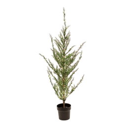 Kunstigt juletræ i potte med LED-lys Slankt kunstigt juletræ i sort potte med lys