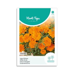Tagetes frø Tangerine – lave morgenfruer Frøpose med orange lave tagetes blomster