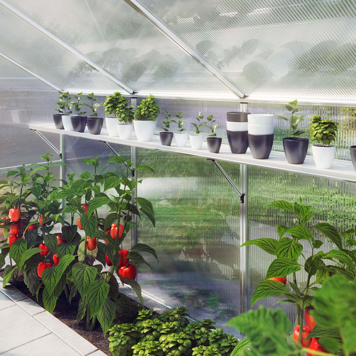 Moderne drivhus med planter på hylde og i bed