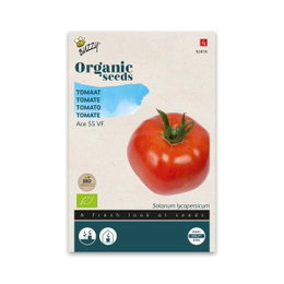 Økologiske tomatfrø Ace 55 VF Pakke med økologiske tomatfrø Ace 55 VF
