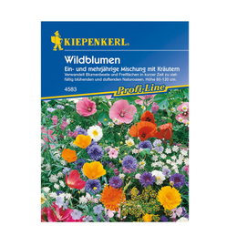 Kiepenkerl vilde blomster frøblanding 80–120 cm Pose med Kiepenkerl vilde blomster frøblanding
