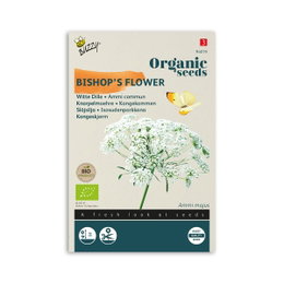 Økologiske frø til bishops flower Ammi majus Frøpose med økologiske bishops flower frø