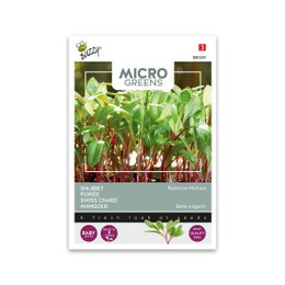 Mikrogrøn frø, mangold Rainbow Mix Frøpose med mikrogrønt mangold Rainbow Mix