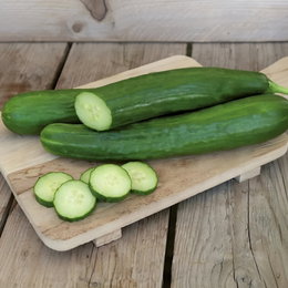 Telegraph Improved agurker fra Horti Tops på skærebræt: lange, slanke og mørkegrønne med tynd skal og få bløde kerner, perfekte til salater og drivhusdyrkning