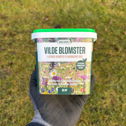Nordic Gardens Blomsterblanding Vilde Blomster - 60 m² | 20 flerårige blomster, tiltrækker bier og sommerfugle Produktbillede af Nordic Gardens 'Vilde Blomster' blomsterblanding 60 m² i bæger, 20 forskellige flerårige blomster, tiltrækker bier og sommerfugle; emballage holdt i handske med græsplæne i baggrunden