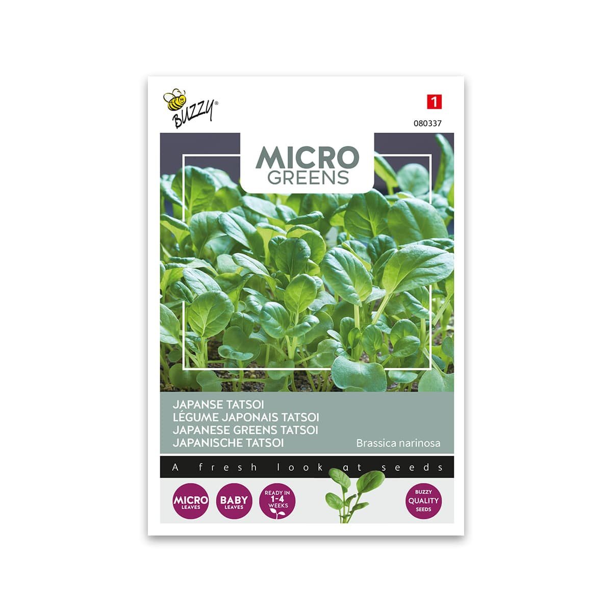 Frø til mikrogrønt japansk tatsoi fra Buzzy Seeds
