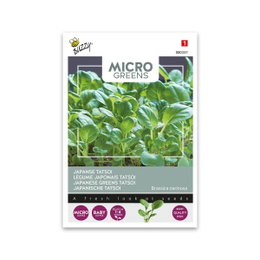 Mikrogrønt japansk tatsoi frøpose Frø til mikrogrønt japansk tatsoi fra Buzzy Seeds