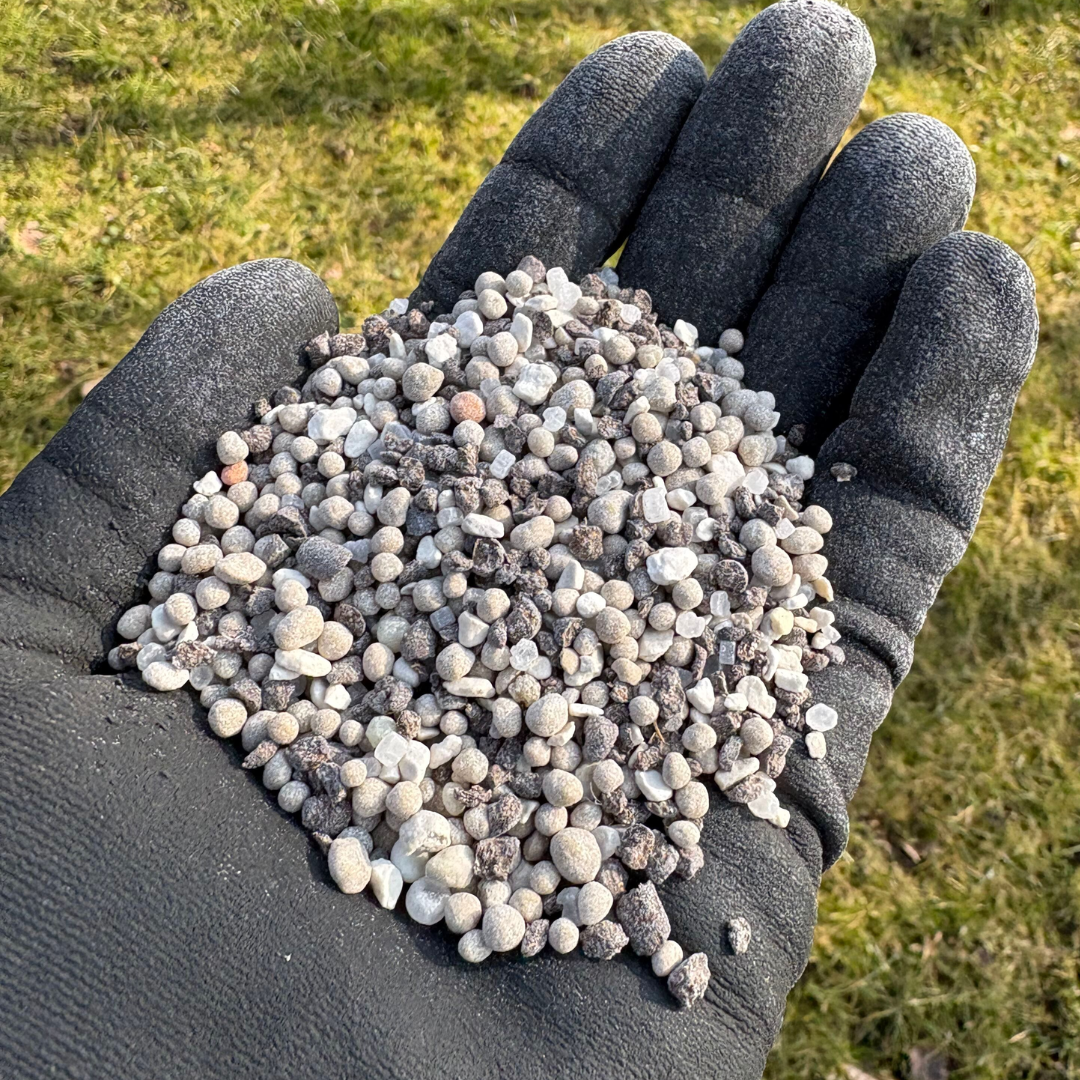 Hånd iført handske holder granuleret MEMON Match Sport gødning i små perler (NPK 16-2-9 + 2,4 Mg). 15 kg pose til en grøn, jævnt voksende og stressfri plæne