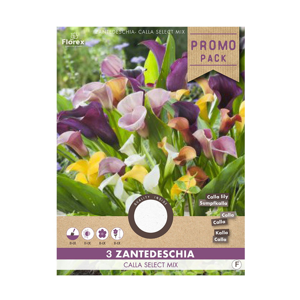Pose med Zantedeschia Calla Select Mix blomsterløg