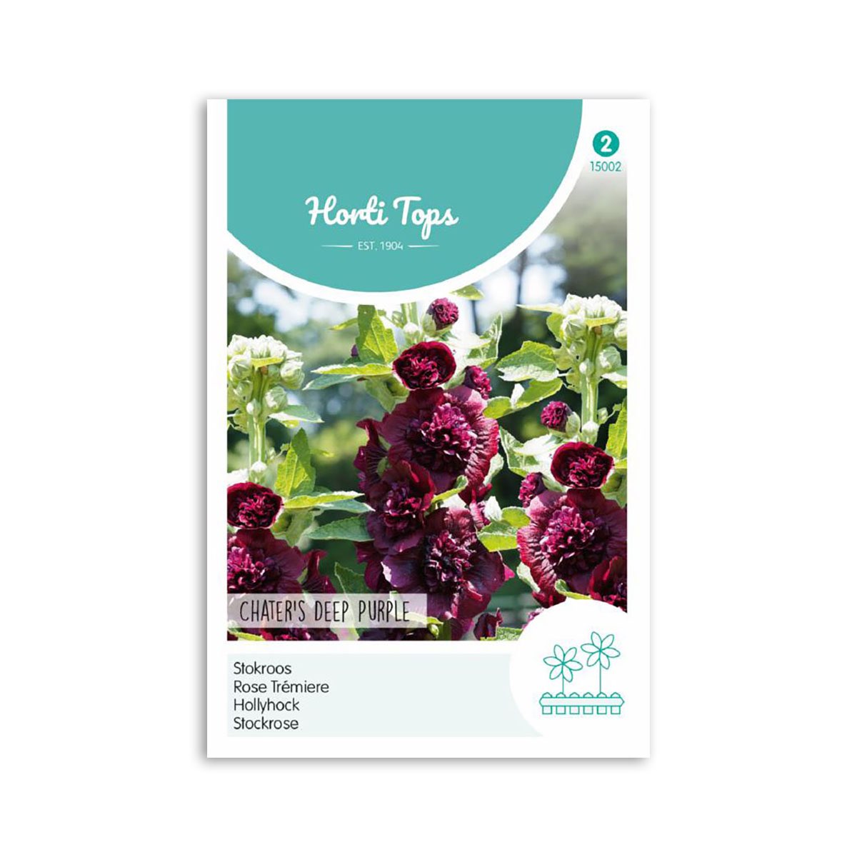 Stokrose frø "Chaters Deep Purple"