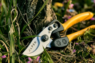Beskærersaks med gule håndtag ved træ og blomster – ALPEN Beskærersaks med gule håndtag og blad mærket ALPEN liggende i græs ved en træstamme omgivet af små blomster