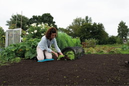 Havesengemåtte til knæ ved plantning Kvinde planter grøntsager med knæpude i haven