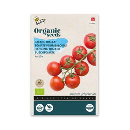 Øko tomatfrø til altan, Koralik Pose med økologiske Koralik altantomatfrø