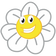 nyhedsbrev logo